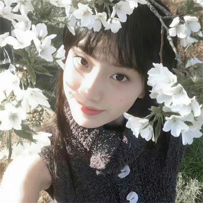 王的命令 第二季